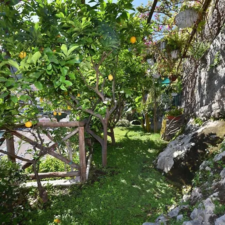 Boheme Exclusive Luxury 4*